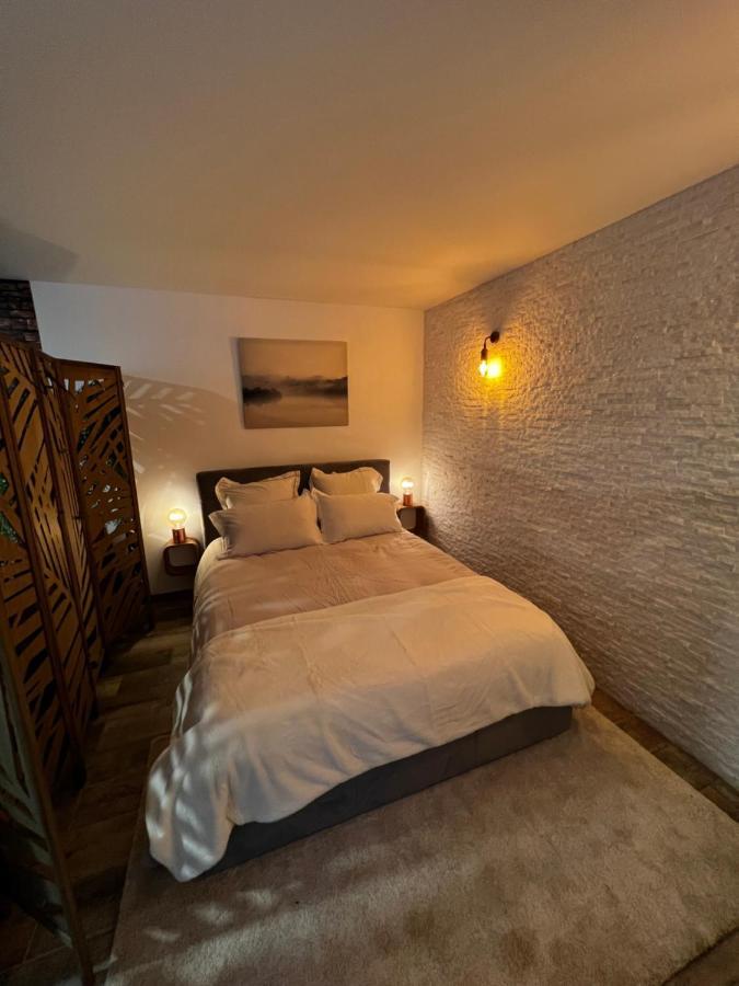 Superbe Appart Avec Jardin Prive Proche Paris Lejlighed Nogent-sur-Seine Eksteriør billede